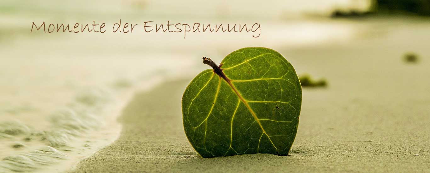 Shiatsu - Momente der Entspannung