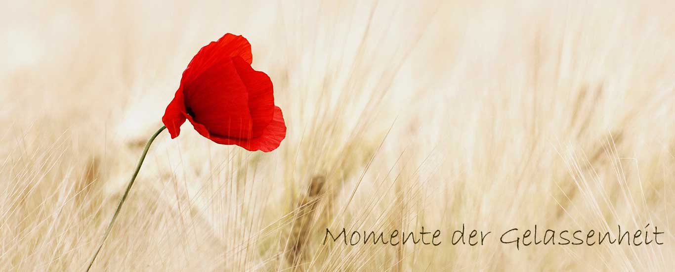 Shiatsu - Momente der Gelassenheit 