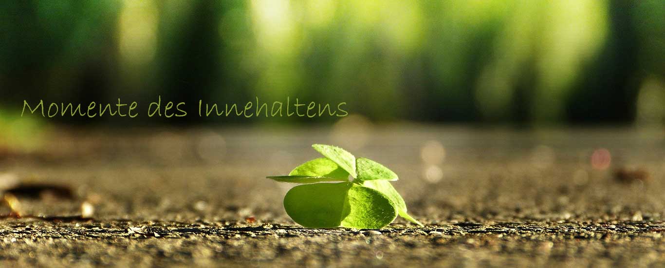 Shiatsu - Momente des Innehaltens